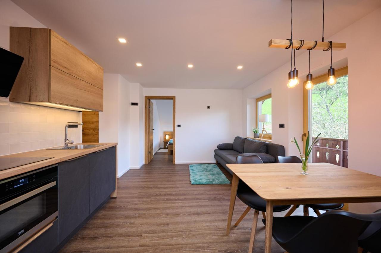 Appartement Domacija Metul à Luče Extérieur photo